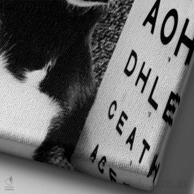 تابلو سگ گریهوند با عینک، فوریه ۱۹۸۷ اثر رو دز آرشیو (آرشیو خیابان) - نمای نزدیک بافت بوم