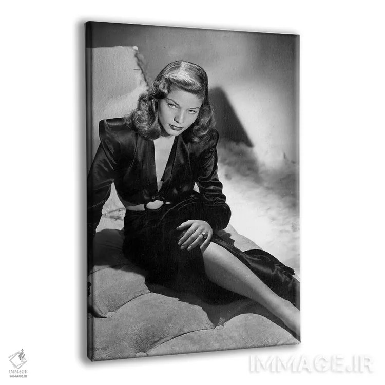 تابلو 1944,اثر "داشتن و نداشتن" با لورن باکال، ۱۹۴۴ اثر رو دز آرشیو (آرشیو خیابان) - نمای پرسپکتیو محصول