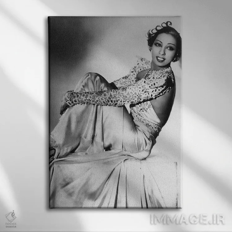 تابلو جوزفین بیکر اثر رو دز آرشیو (آرشیو خیابان) - نمای روبهرو روی دیوار