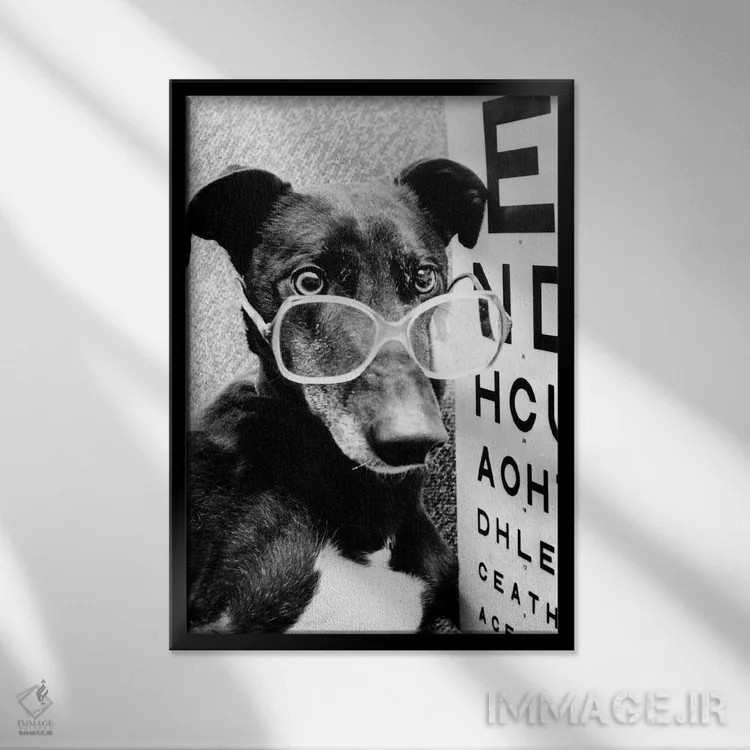 تابلو سگ گریهوند با عینک، فوریه ۱۹۸۷ اثر رو دز آرشیو (آرشیو خیابان) - نمای قابدار مشکی