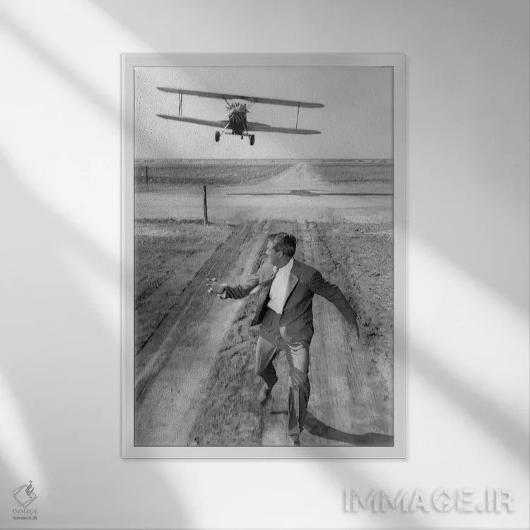 تابلو کری گرانت اثر رو دز آرشیو (آرشیو خیابان) - نمای قابدار سفید