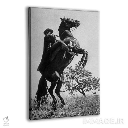 تابلو نشانه زوررو با گای ویلیامز، ۱۹۵۸ اثر رو دز آرشیو (آرشیو خیابان) - نمای پرسپکتیو محصول