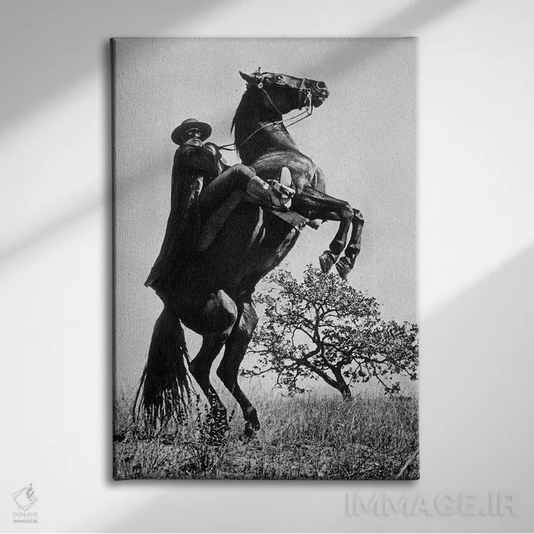 تابلو نشانه زوررو با گای ویلیامز، ۱۹۵۸ اثر رو دز آرشیو (آرشیو خیابان) - نمای روبهرو روی دیوار