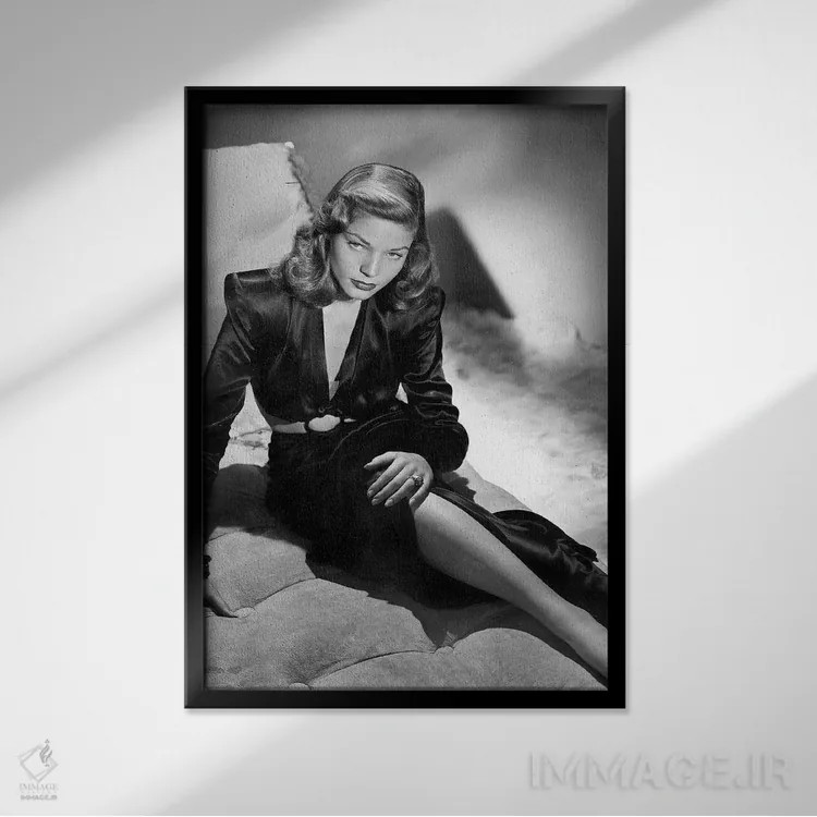 تابلو 1944,اثر "داشتن و نداشتن" با لورن باکال، ۱۹۴۴ اثر رو دز آرشیو (آرشیو خیابان) - نمای قابدار مشکی