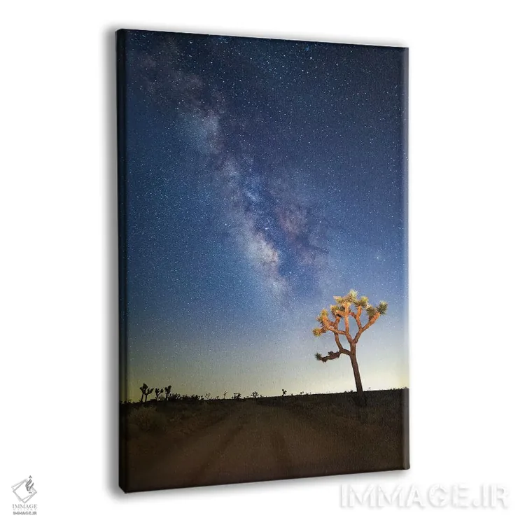 تابلو 2017,راه شیری بر فراز جاشوا تری، ۲۰۱۷ اثر اسویپی ایمیجز (آرشیو/آژانس عکس) - نمای پرسپکتیو محصول