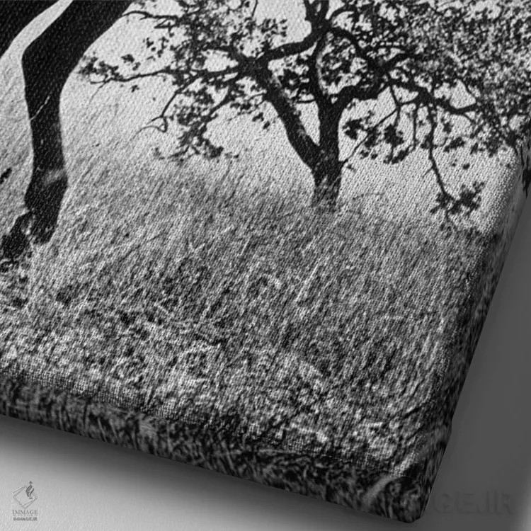 تابلو نشانه زوررو با گای ویلیامز، ۱۹۵۸ اثر رو دز آرشیو (آرشیو خیابان) - نمای نزدیک بافت بوم