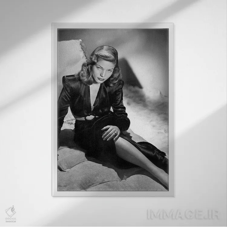 تابلو 1944,اثر "داشتن و نداشتن" با لورن باکال، ۱۹۴۴ اثر رو دز آرشیو (آرشیو خیابان) - نمای قابدار سفید