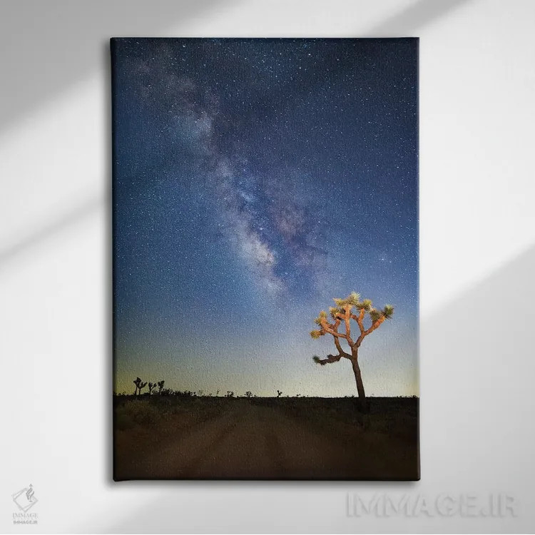 تابلو 2017,راه شیری بر فراز جاشوا تری، ۲۰۱۷ اثر اسویپی ایمیجز (آرشیو/آژانس عکس) - نمای روبهرو روی دیوار