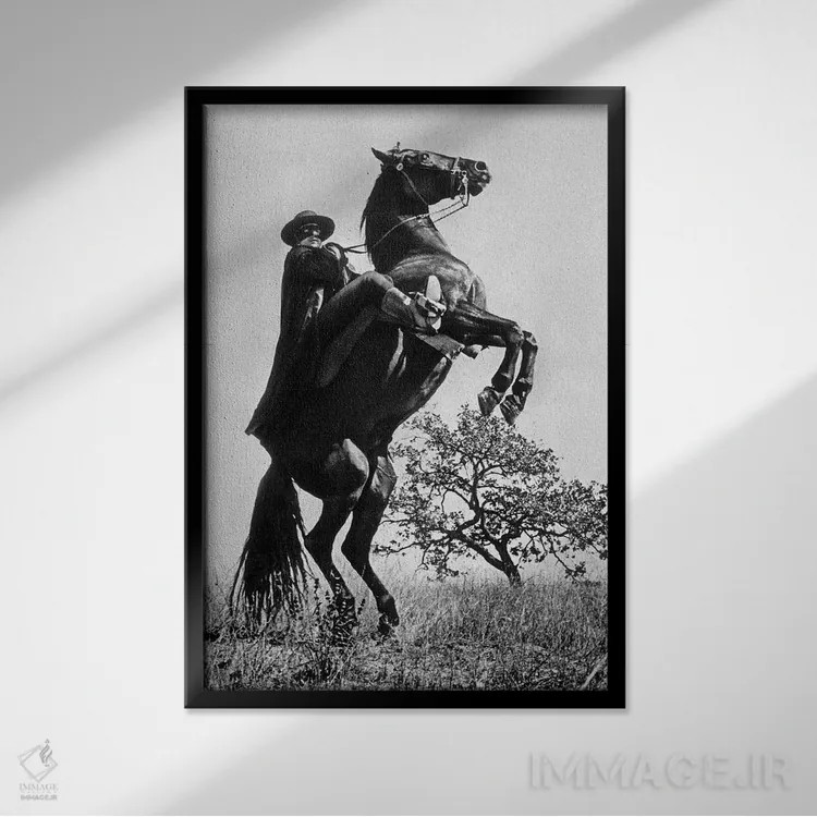 تابلو نشانه زوررو با گای ویلیامز، ۱۹۵۸ اثر رو دز آرشیو (آرشیو خیابان) - نمای قابدار مشکی