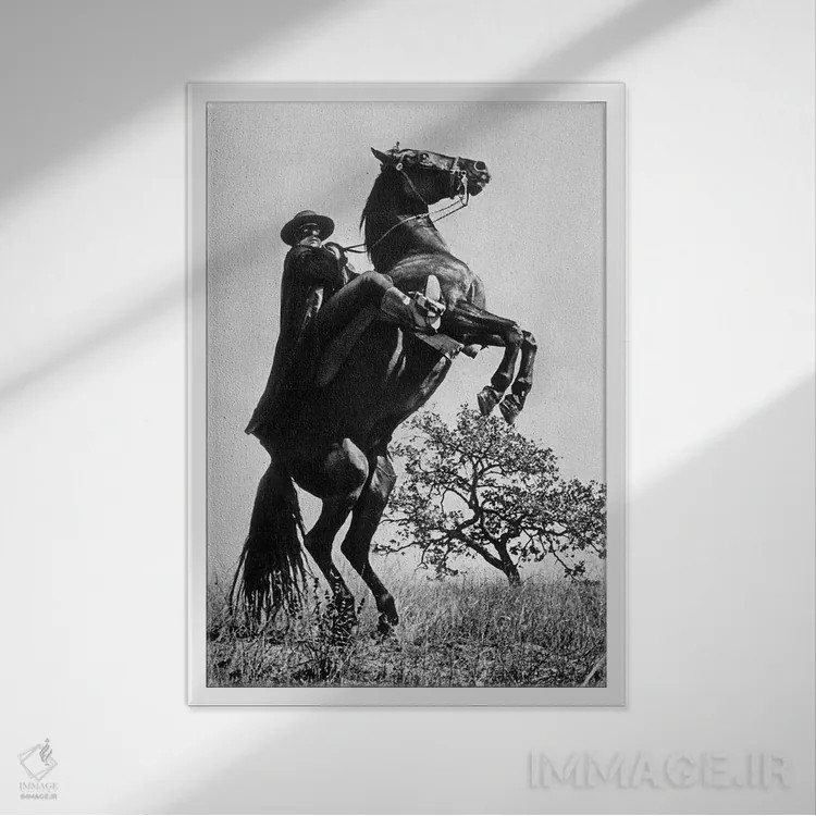 تابلو نشانه زوررو با گای ویلیامز، ۱۹۵۸ اثر رو دز آرشیو (آرشیو خیابان) - نمای قابدار سفید