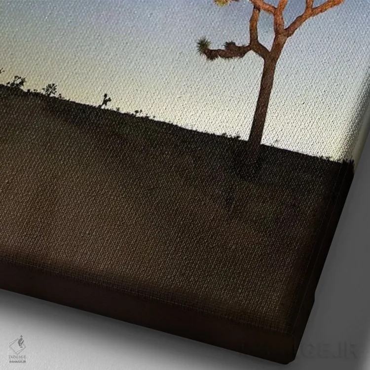 تابلو 2017,راه شیری بر فراز جاشوا تری، ۲۰۱۷ اثر اسویپی ایمیجز (آرشیو/آژانس عکس) - نمای نزدیک بافت بوم