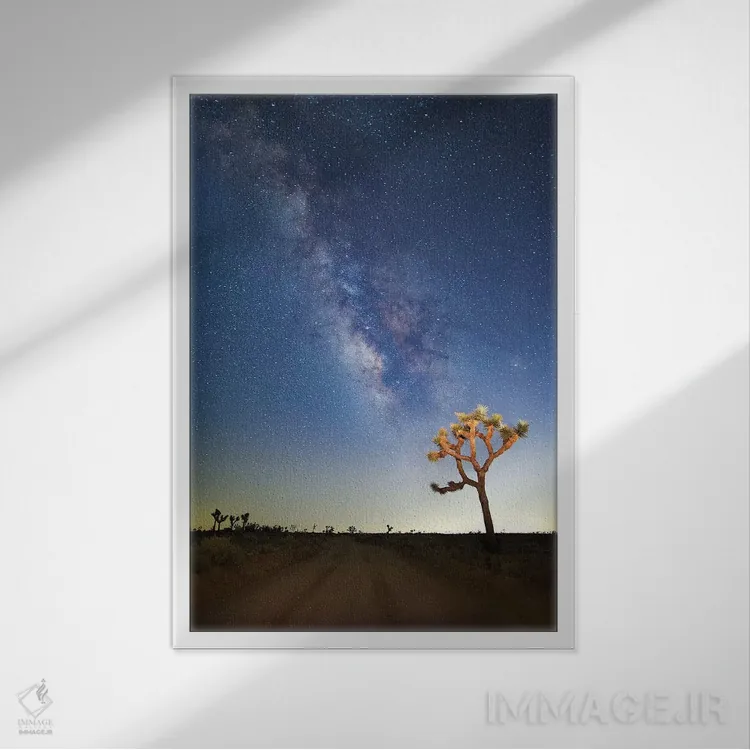 تابلو 2017,راه شیری بر فراز جاشوا تری، ۲۰۱۷ اثر اسویپی ایمیجز (آرشیو/آژانس عکس) - نمای قابدار سفید