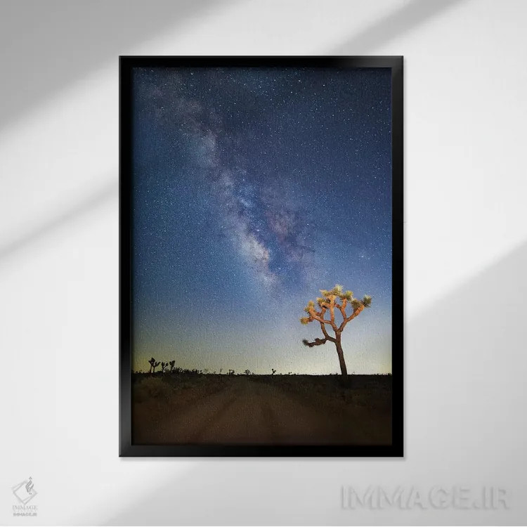 تابلو 2017,راه شیری بر فراز جاشوا تری، ۲۰۱۷ اثر اسویپی ایمیجز (آرشیو/آژانس عکس) - نمای قابدار مشکی