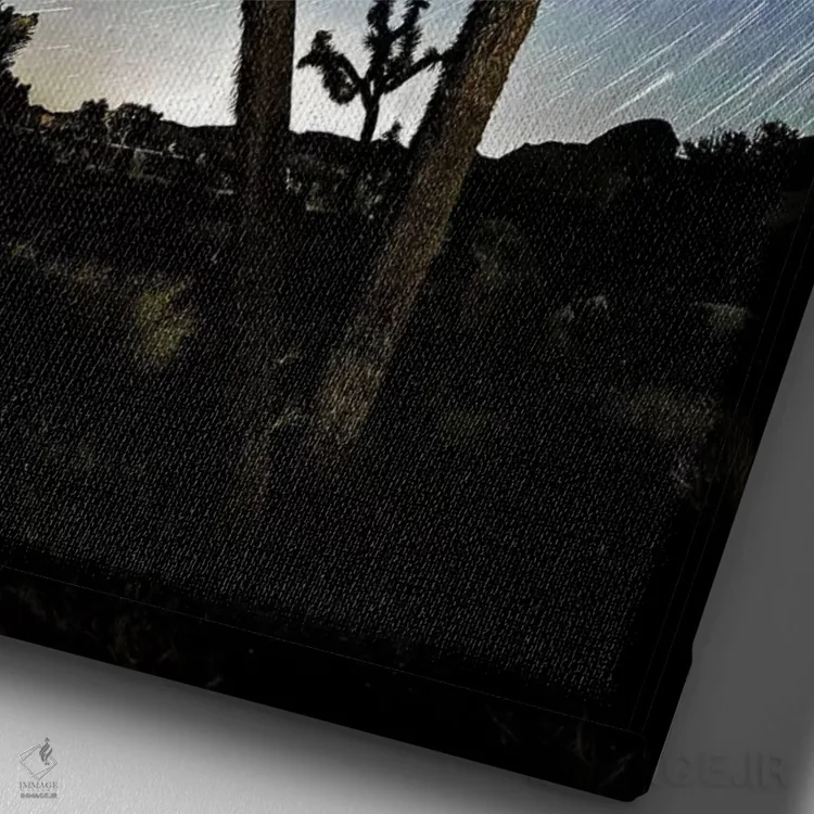 تابلو 2017،رد ستارگان بر فراز جاشوا تری، ۲۰۱۷ اثر اسویپی ایمیجز (آرشیو/آژانس عکس) - نمای نزدیک بافت بوم