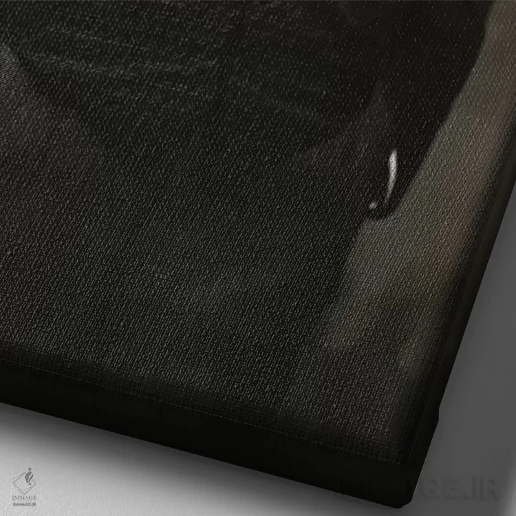 تابلو جان دی. راکفلر پدر اثر عکاس آمریکایی (عنوان عمومی) - نمای نزدیک بافت بوم