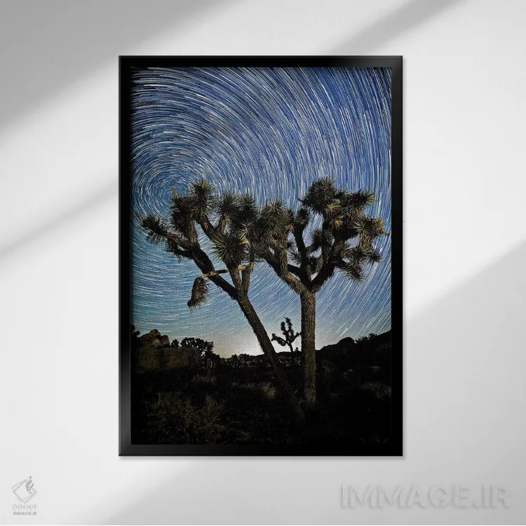 تابلو 2017،رد ستارگان بر فراز جاشوا تری، ۲۰۱۷ اثر اسویپی ایمیجز (آرشیو/آژانس عکس) - نمای قابدار مشکی