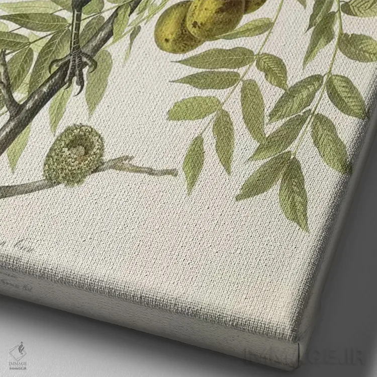 تابلو 1833,کلاغ آمریکایی، ۱۸۳۳ اثر جان جیمز آدوبون (نقاش و پرندهشناس) - نمای نزدیک بافت بوم