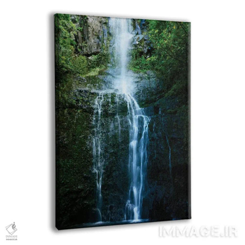 تابلو جنگل بارانی طبیعی اثر بروس ناوراکه - نمای پرسپکتیو محصول