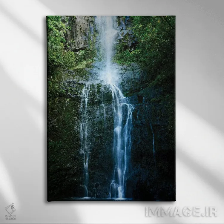 تابلو جنگل بارانی طبیعی اثر بروس ناوراکه - نمای روبهرو روی دیوار