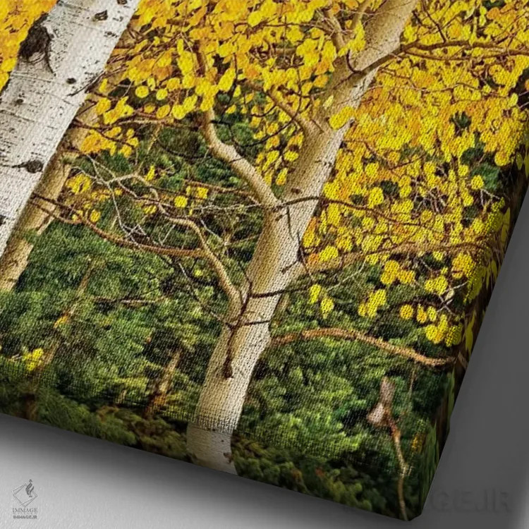 تابلو شکوفههای آفتابی اثر بروس ناوراکه - نمای نزدیک بافت بوم