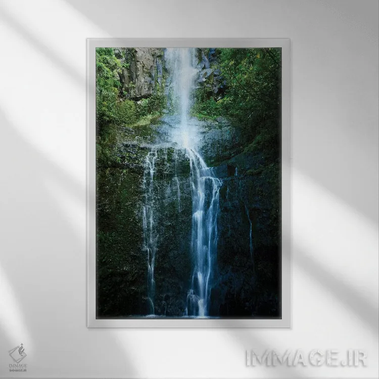 تابلو جنگل بارانی طبیعی اثر بروس ناوراکه - نمای قابدار سفید