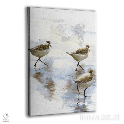 تابلو رقصندگان شن II اثر بروس ناوراکه - نمای پرسپکتیو محصول