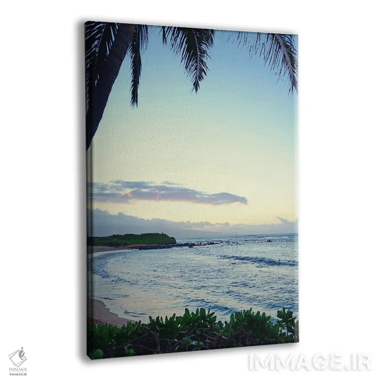 تابلو زیر نخل اثر بروس ناوراکه - نمای پرسپکتیو محصول