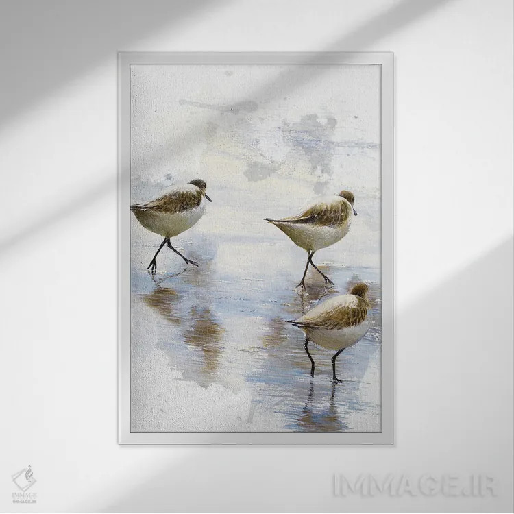 تابلو رقصندگان شن II اثر بروس ناوراکه - نمای قابدار سفید