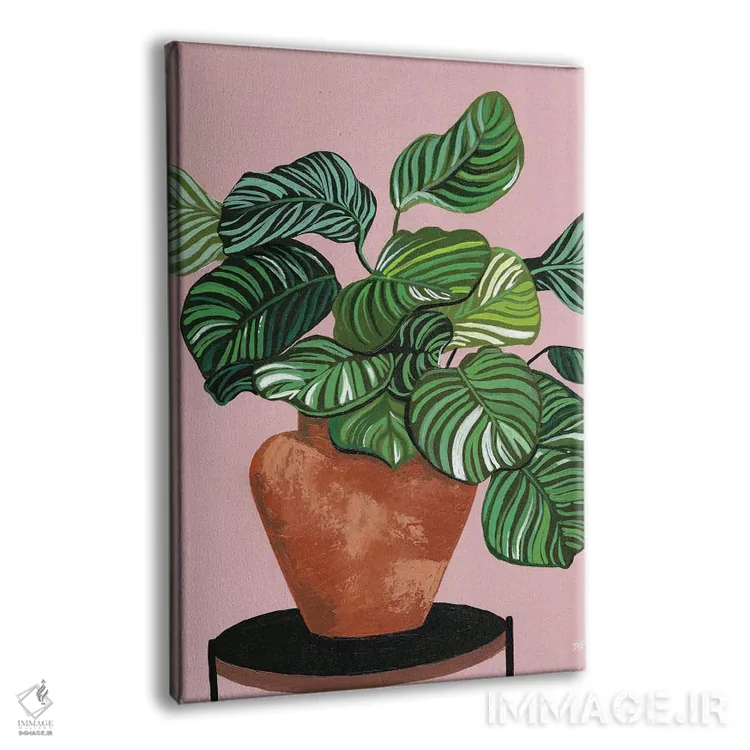 تابلو کالاتهآها (گیاه آپارتمانی) اثر بریا نیکول - نمای پرسپکتیو محصول