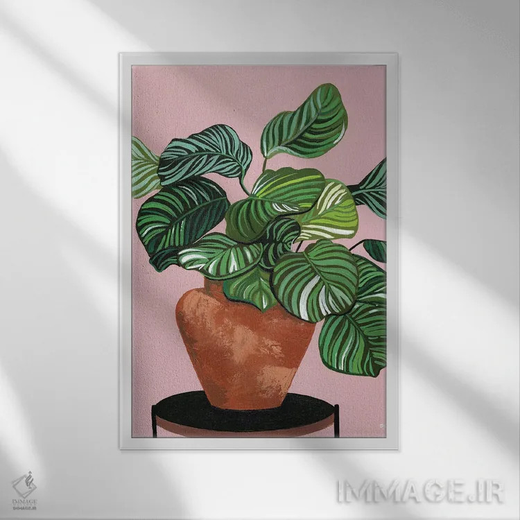 تابلو کالاتهآها (گیاه آپارتمانی) اثر بریا نیکول - نمای قابدار سفید