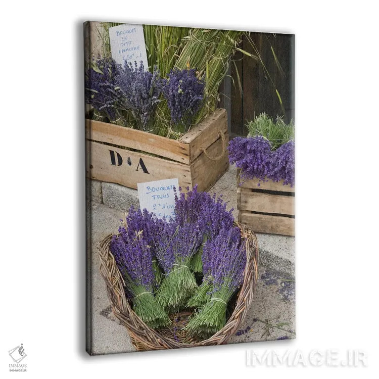 تابلو دستههای اسطوخودوس برداشتشده برای فروش، کانتون دو سو، پروانس-آلپ-کوت دازور، فرانسه اثر برندا ثارپ - نمای پرسپکتیو محصول