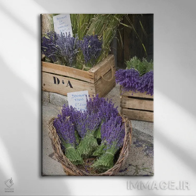 تابلو دستههای اسطوخودوس برداشتشده برای فروش، کانتون دو سو، پروانس-آلپ-کوت دازور، فرانسه اثر برندا ثارپ - نمای روبهرو روی دیوار