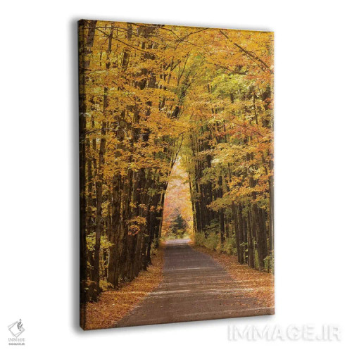 تابلو آمریکا، میشیگان. ردیف درختان در خیابان کاتدرال شکلی شبیه به کلیسا در بالای سر ایجاد کردهاند اثر برندا ثارپ - نمای پرسپکتیو محصول