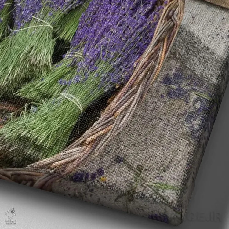 تابلو دستههای اسطوخودوس برداشتشده برای فروش، کانتون دو سو، پروانس-آلپ-کوت دازور، فرانسه اثر برندا ثارپ - نمای نزدیک بافت بوم