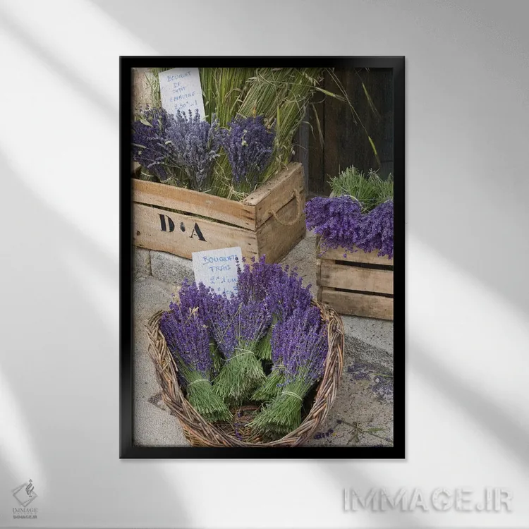 تابلو دستههای اسطوخودوس برداشتشده برای فروش، کانتون دو سو، پروانس-آلپ-کوت دازور، فرانسه اثر برندا ثارپ - نمای قابدار مشکی