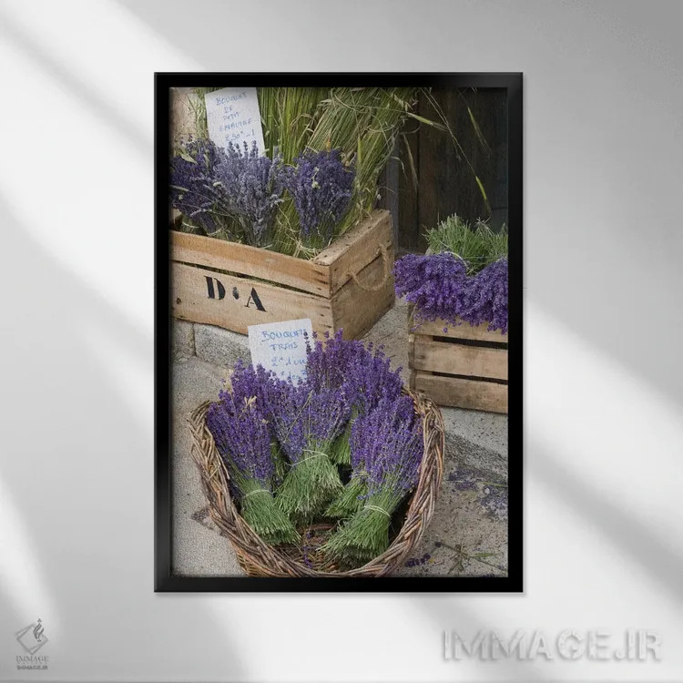 تابلو دستههای اسطوخودوس برداشتشده برای فروش، کانتون دو سو، پروانس-آلپ-کوت دازور، فرانسه اثر برندا ثارپ - نمای قابدار مشکی