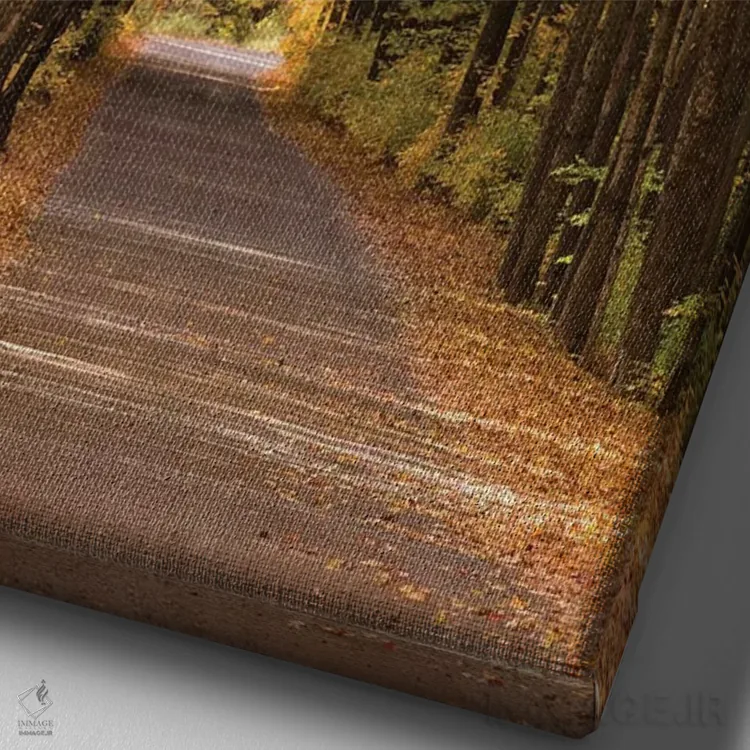 تابلو آمریکا، میشیگان. ردیف درختان در خیابان کاتدرال شکلی شبیه به کلیسا در بالای سر ایجاد کردهاند اثر برندا ثارپ - نمای نزدیک بافت بوم