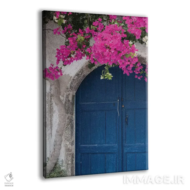 تابلو یونان، سانتورینی. در آبی رنگ و فرسودهای که با شکوفههای صورتی روشن گل کاغذی قاب گرفته شده است اثر برندا ثارپ - نمای پرسپکتیو محصول