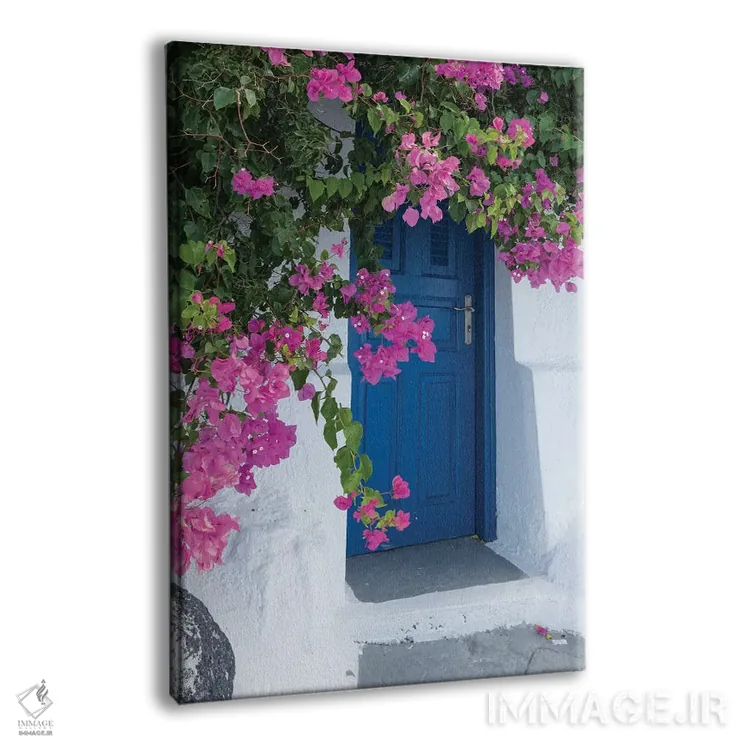 تابلو یونان، سانتورینی. یک در آبی دلانگیز با گلهای صورتی کاغذی در فیروستفانی احاطه شده است اثر برندا ثارپ - نمای پرسپکتیو محصول