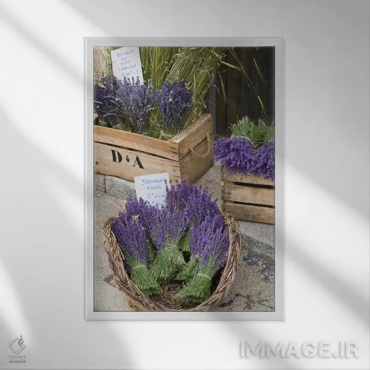 تابلو دستههای اسطوخودوس برداشتشده برای فروش، کانتون دو سو، پروانس-آلپ-کوت دازور، فرانسه اثر برندا ثارپ - نمای قابدار سفید