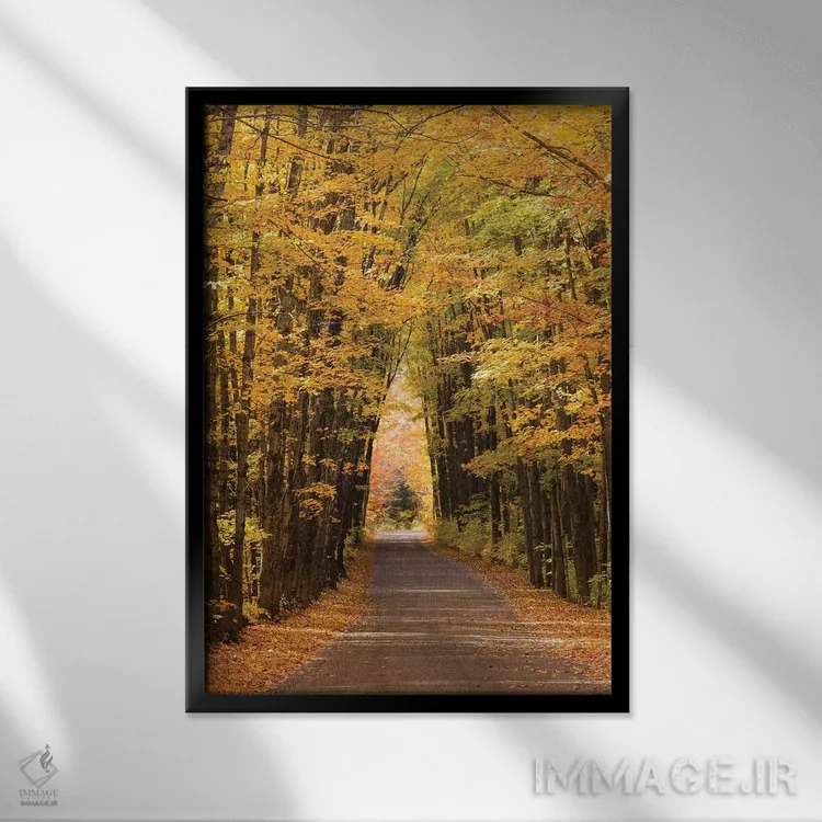 تابلو آمریکا، میشیگان. ردیف درختان در خیابان کاتدرال شکلی شبیه به کلیسا در بالای سر ایجاد کردهاند اثر برندا ثارپ - نمای قابدار مشکی