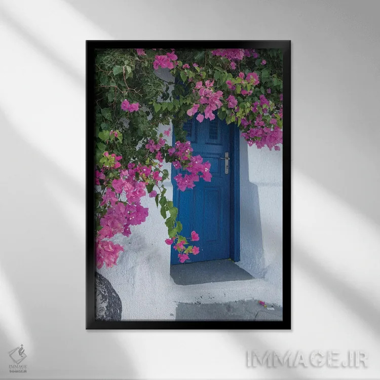تابلو یونان، سانتورینی. یک در آبی دلانگیز با گلهای صورتی کاغذی در فیروستفانی احاطه شده است اثر برندا ثارپ - نمای قابدار مشکی