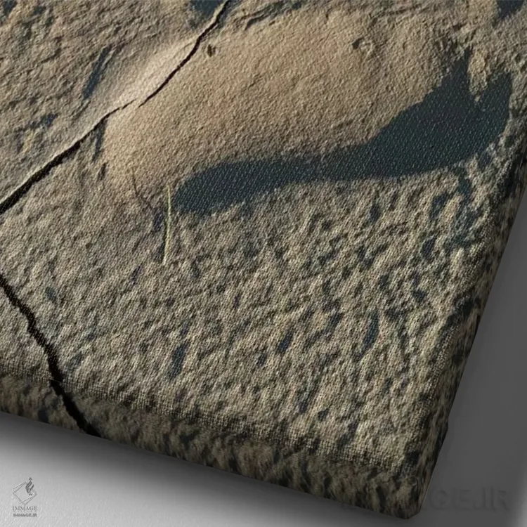 تابلو ردپای خرس خاکستری ساحلی در پارک ملی لیک کلارک، آلاسکا اثر برندا ثارپ - نمای نزدیک بافت بوم