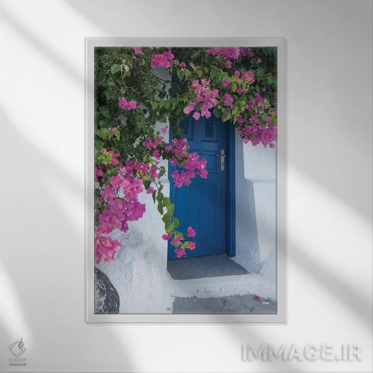 تابلو یونان، سانتورینی. یک در آبی دلانگیز با گلهای صورتی کاغذی در فیروستفانی احاطه شده است اثر برندا ثارپ - نمای قابدار سفید