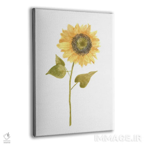 تابلو تصویر یک گل آفتابگردان ۱ (پرتره) اثر باناروت - نمای پرسپکتیو محصول