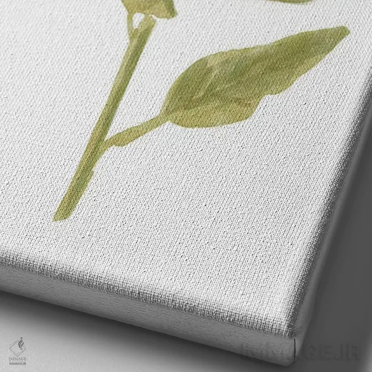 تابلو تصویر یک گل آفتابگردان ۲ (پرتره) اثر باناروت - نمای نزدیک بافت بوم