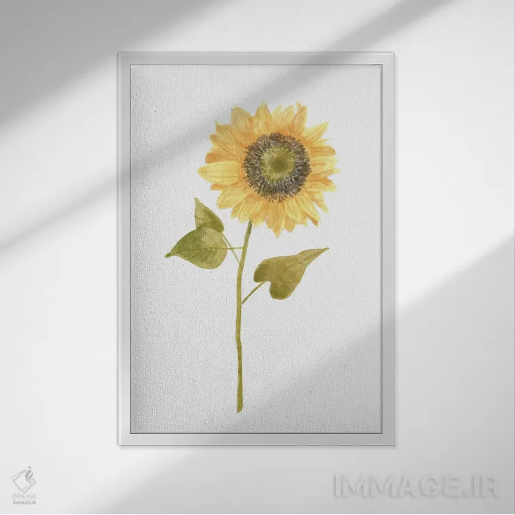 تابلو تصویر یک گل آفتابگردان ۱ (پرتره) اثر باناروت - نمای قابدار سفید