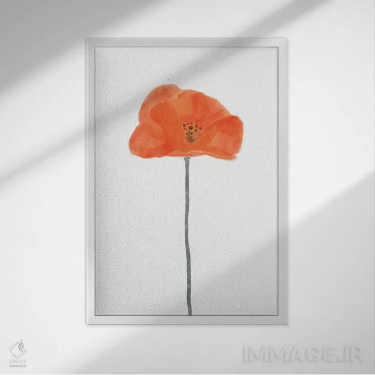 تابلو شقایق سرخ تنها ۲ اثر باناروت - نمای قابدار سفید