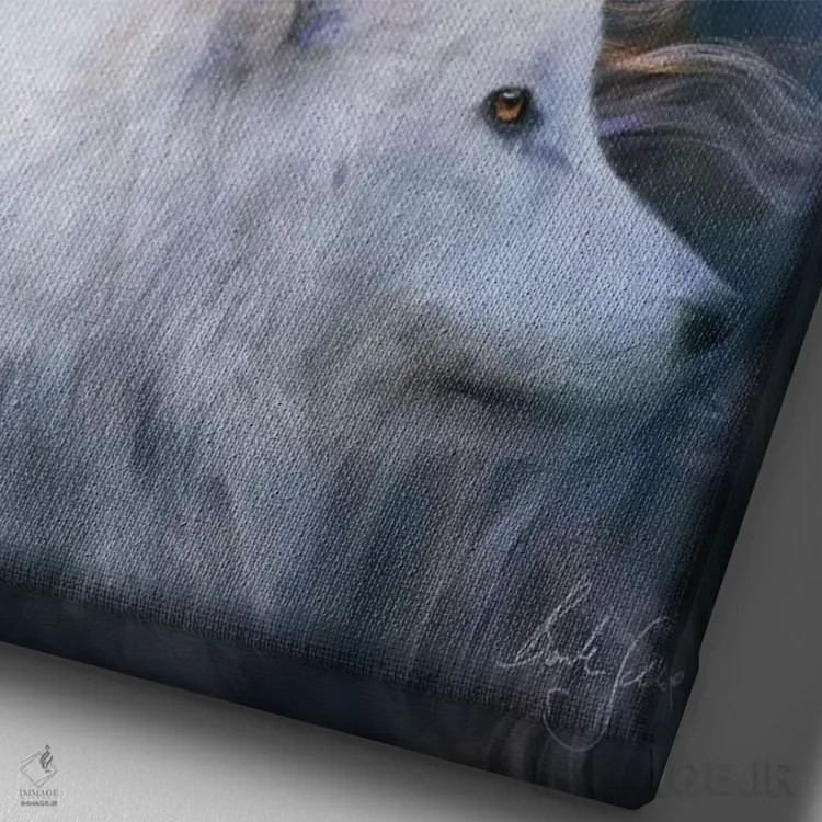 تابلو لونا (ماه/نام خاص) اثر بنت شلیک - نمای نزدیک بافت بوم