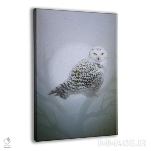 تابلو جغد برفی اثر بنت شلیک - نمای پرسپکتیو محصول